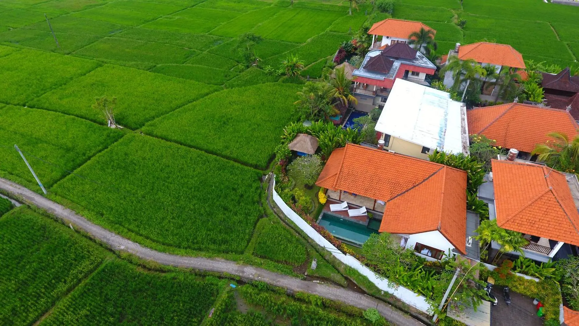 Villa Maya Ubud, Peaceful Rice Field View 0*, Ubud (Bali) Indonesia
